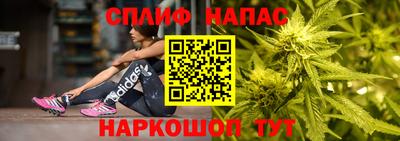 PSILOCYBIN Новозыбков
