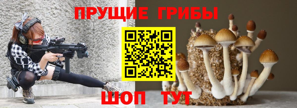 Псилоцибиновые грибы MAGIC MUSHROOMS  Вход с VPN  Тула  Галлюциногенные грибы Cubensis 